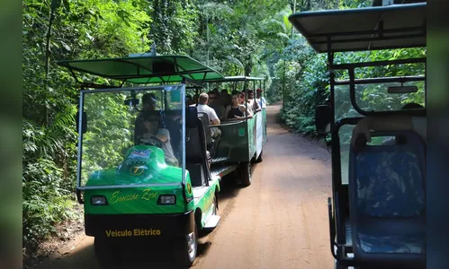 Setor de serviços cresce 11,8% no Paraná de janeiro a agosto
