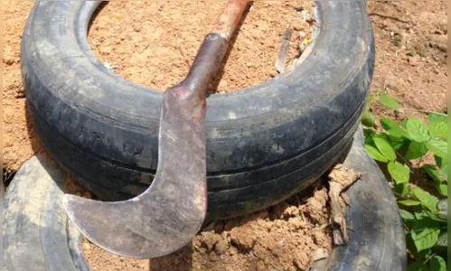 Mulher é acusada de atacar homem com foice e faca em Borrazópolis