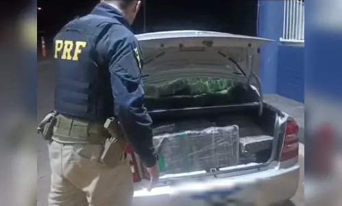PRF apreende automóvel com quase 800 quilos de maconha no PR