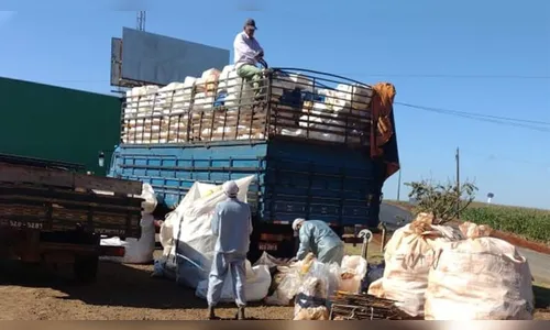 Apucarana recolhe embalagens de agrotóxicos na sexta-feira (10)