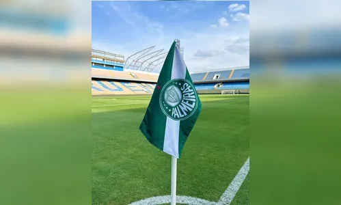 Palmeiras assume liderança na reta final do Brasileirão