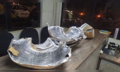 Mulher é presa levando 9 quilos de haxixe presos ao corpo