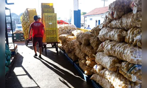 Ceasas do Paraná estarão fechadas no dia 2 de novembro; saiba mais