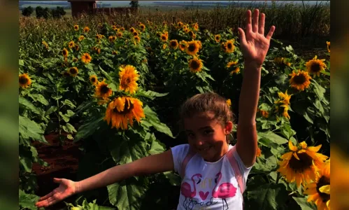 Criança que se afogou em piscina recebe alta da UTI no Paraná