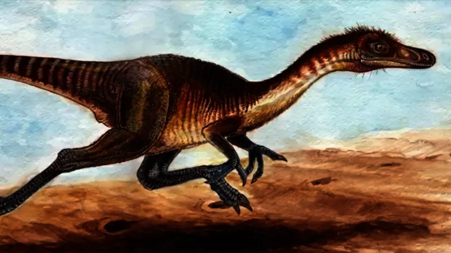 Nova espécie de dinossauro foi identificada em Araraquara