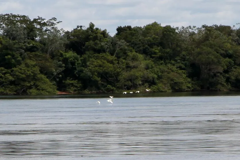 O Paraná possui 11 comitês de bacias hidrográficas
