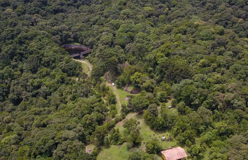 Paraná segue se destacando no controle ao desmatamento ilegal da Mata Atlântica