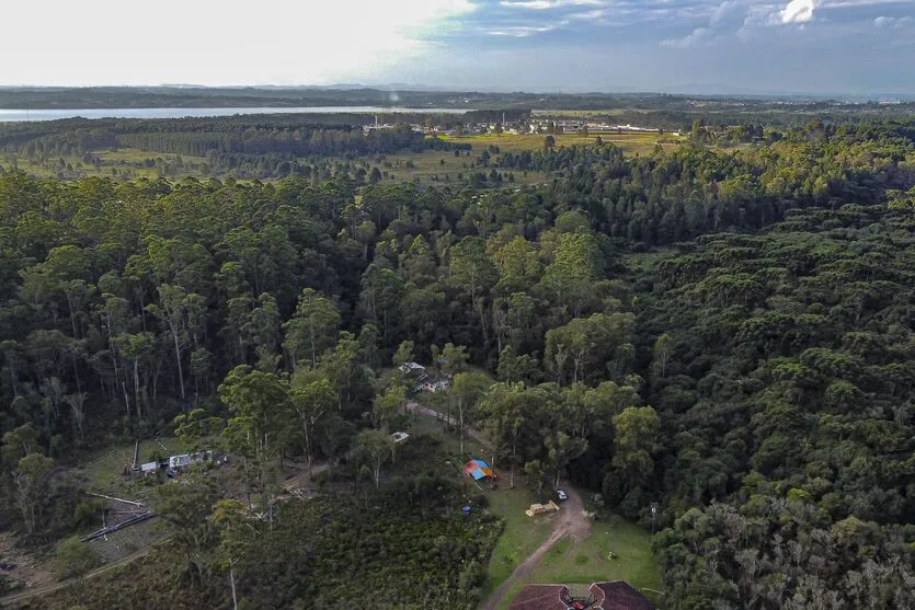 12/03/2023 - Comunidade Índigena da Floresta Estadual Metropolitana, em Piraquara