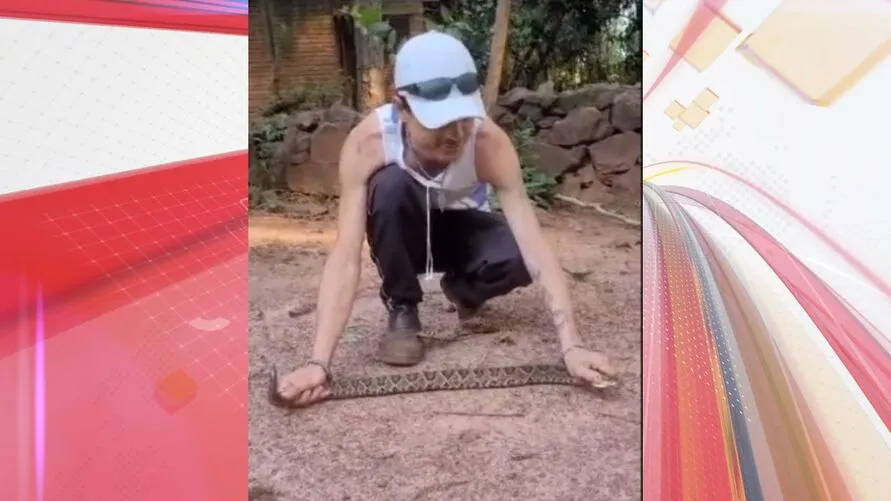 A cobra, que era grande e tinha sete guizos, foi solta em outra parte do parque.