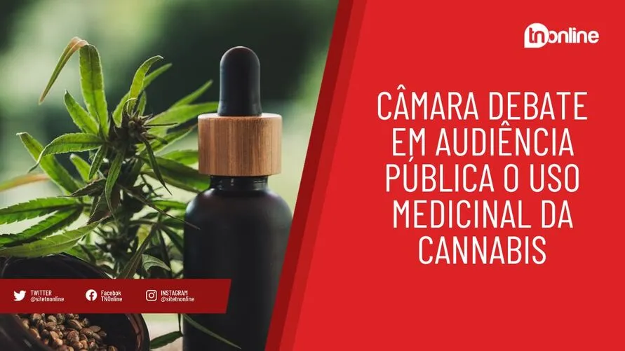 Câmara debate em audiência pública o uso medicinal da cannabis