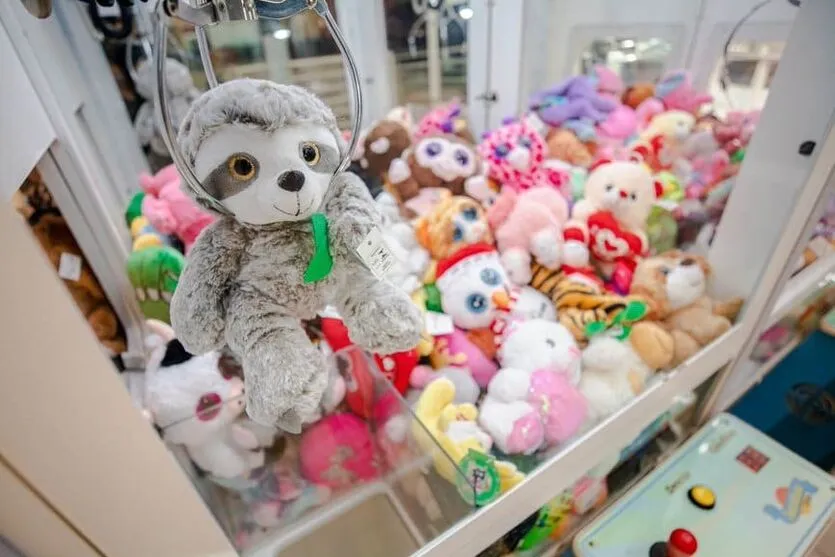 Urso teria sido furtado durante a noite desta quinta-feira