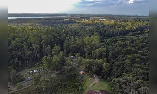 Gestão da Floresta Metropolitana do PR é destaque no anuário da ONU