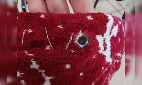 Filha de policial é flagrada com câmera e escuta em concurso da PCSP