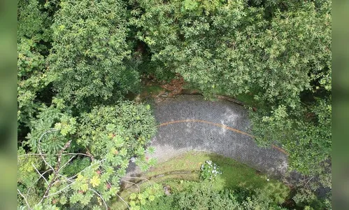 Estrada da Graciosa terá bloqueios até sexta-feira (15); confira