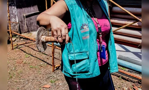 Saúde reforça apelo para combate à dengue: 