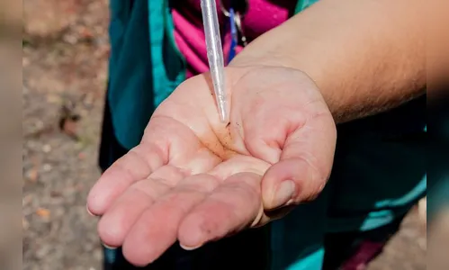 Casos de dengue dobram em Apucarana em uma semana