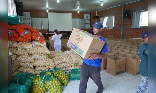 PR doa mais 5 toneladas de alimentos para municípios da região Sul