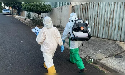 Região tem dois municípios em situação de epidemia de dengue