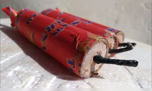 Homem joga bombinhas em cachorros e PM é chamada