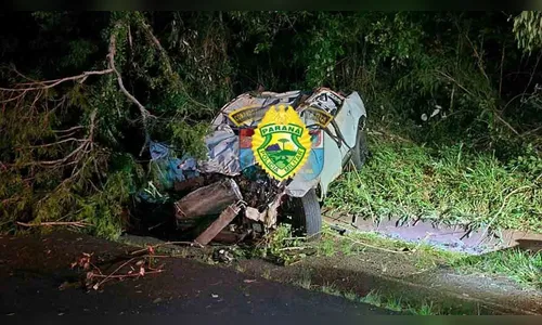 Motorista de Fiat Toro morre em capotamento na PR 160 no Norte do PR