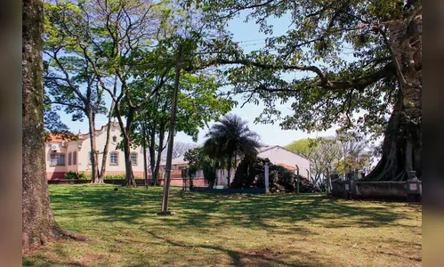 Mulher é presa após ameaçar mãe idosa com espingarda em Arapongas