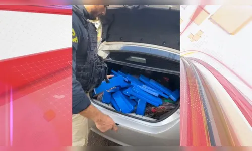 PRF apreende meia tonelada de maconha após fuga pela BR-369