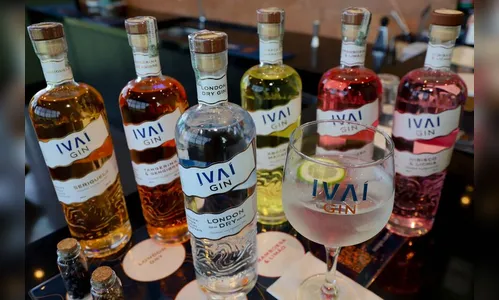 Gin, vinho e cerveja: bebidas do PR acumulam prêmios internacionais