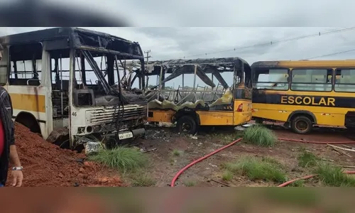 Adolescentes ateiam fogo em matagal e chamas destroem dois ônibus