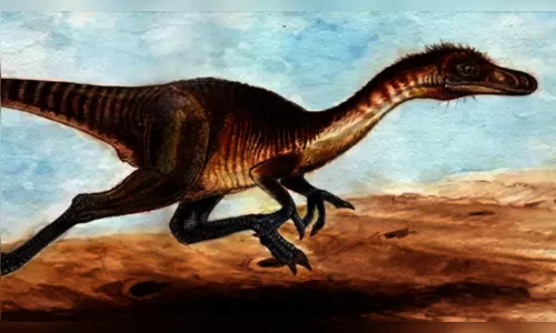 Nova espécie de dinossauro que habitava o interior de SP é descoberta