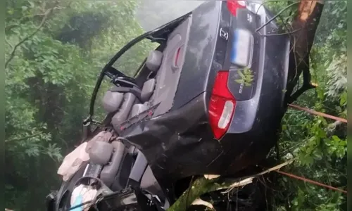 Carro fica pendurado em árvore após capotar na BR-277; 3 ficam feridos
