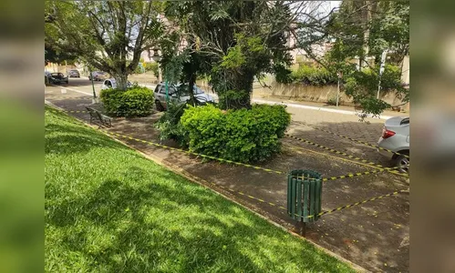 Ataque de abelhas deixa pelo menos 30 feridos em cidade do Paraná