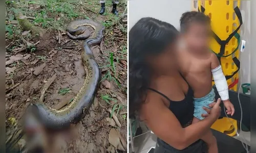 Sucuri de 6 metros ataca criança que brincava às margens de rio; veja