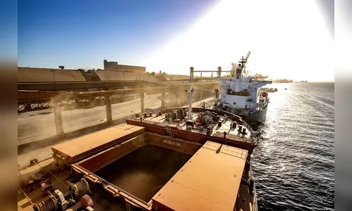 Em 10 meses, Portos do PR registra crescimento de 15% nas exportações