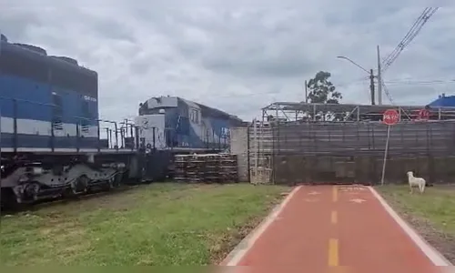 Caminhão carregado com frangos é atingido por trem no norte do PR