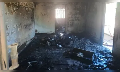 Idoso tenta eliminar aranhas com lança-chamas e incendeia própria casa