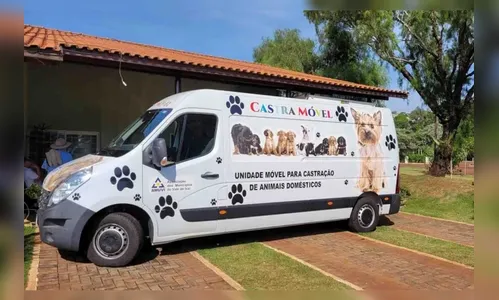 Estelionatários usam nome da Amuvi para arrecadar dinheiro; saiba mais