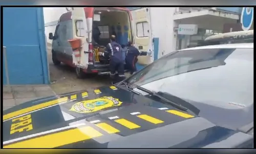 Abelhas invadem cabine de caminhão e atacam motorista