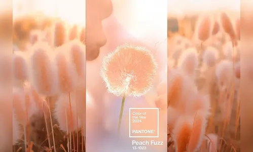 Pantone anuncia 'Peach Fuzz' como cor do ano; confira detalhes