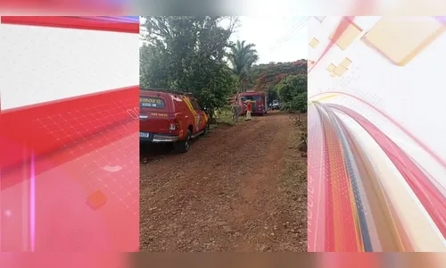 Idosa que estava desaparecida é encontrada morta em Arapongas