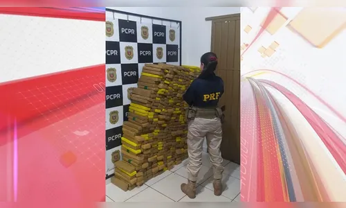 PRF apreende quase meia tonelada de maconha dentro de carro no PR