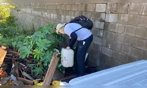 Arapongas tem 15 casos confirmados de dengue no Município