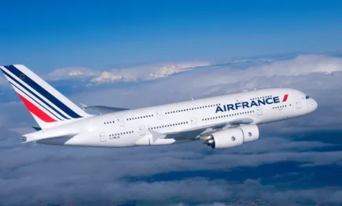 Rato assustou tripulação da Air France