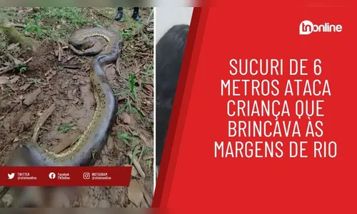 Sucuri de 6 metros ataca criança que brincava às margens de rio