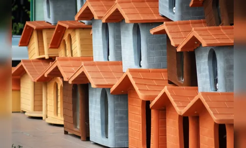 PM é chamada após homem tentar furtar casinha de cachorro em Apucarana