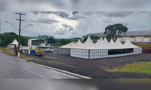 Festa da Cenoura começa nesta sexta-feira em Marilândia do Sul
