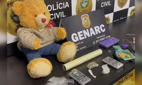 PC apreende urso de pelúcia recheado com crack, cocaína e maconha