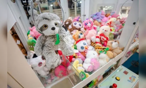 Casal furta urso de máquina de pelúcias em Apucarana