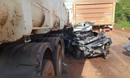 Mais de 130 mortes só neste ano: conheça a 