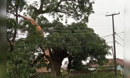 Tempestades atingem o Paraná e interrompem fornecimento de energia