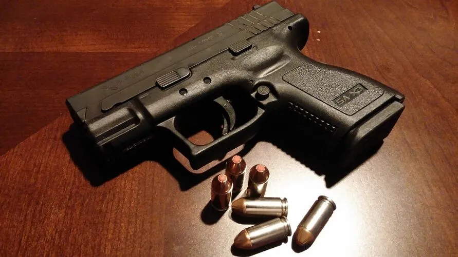 Comissão da Câmara autoriza estados a legislarem sobre armas.